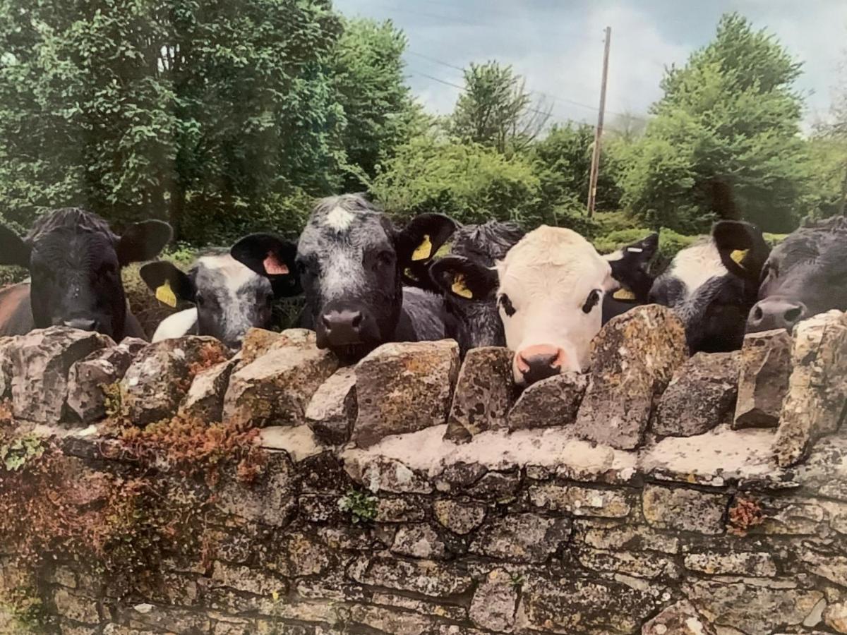 The Milking Sheds Apartamento Tytherington  Exterior foto