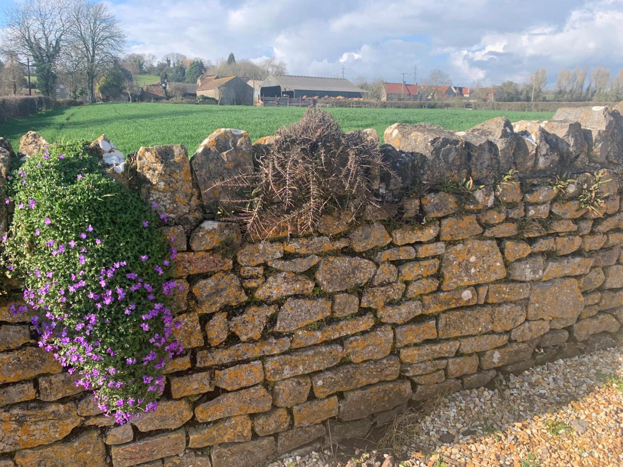 The Milking Sheds Apartamento Tytherington  Exterior foto